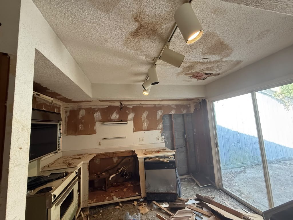 Demolition & Site Clearance #24